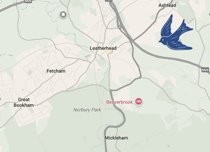 Bluebird clearance co house clearance services areas we cover leatherhead